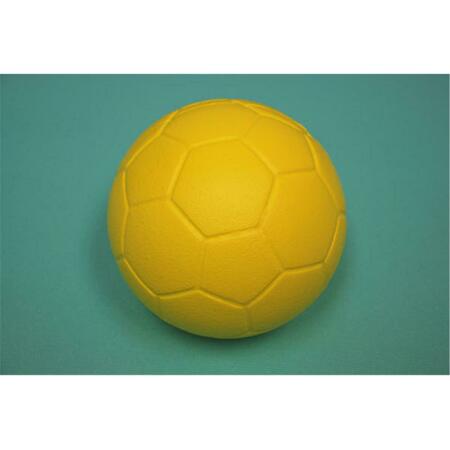 EVERRICH INDUSTRIES 8.125 Inch Soccer Ball with Coating EVAJ-0002